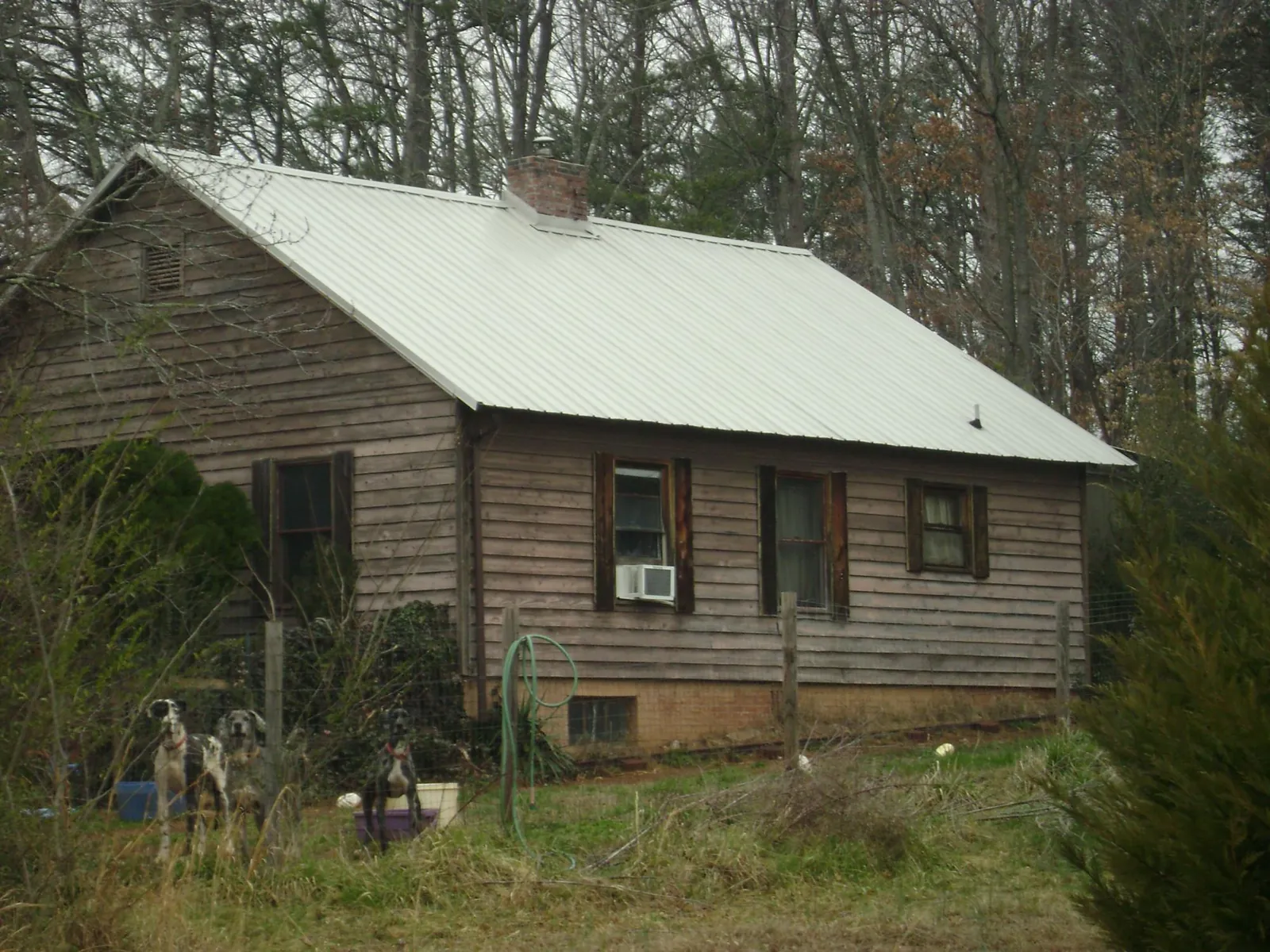 White metal roof on an old wood sided farmhouse, from a Asphalt Shingle Roof Repair job in Alva